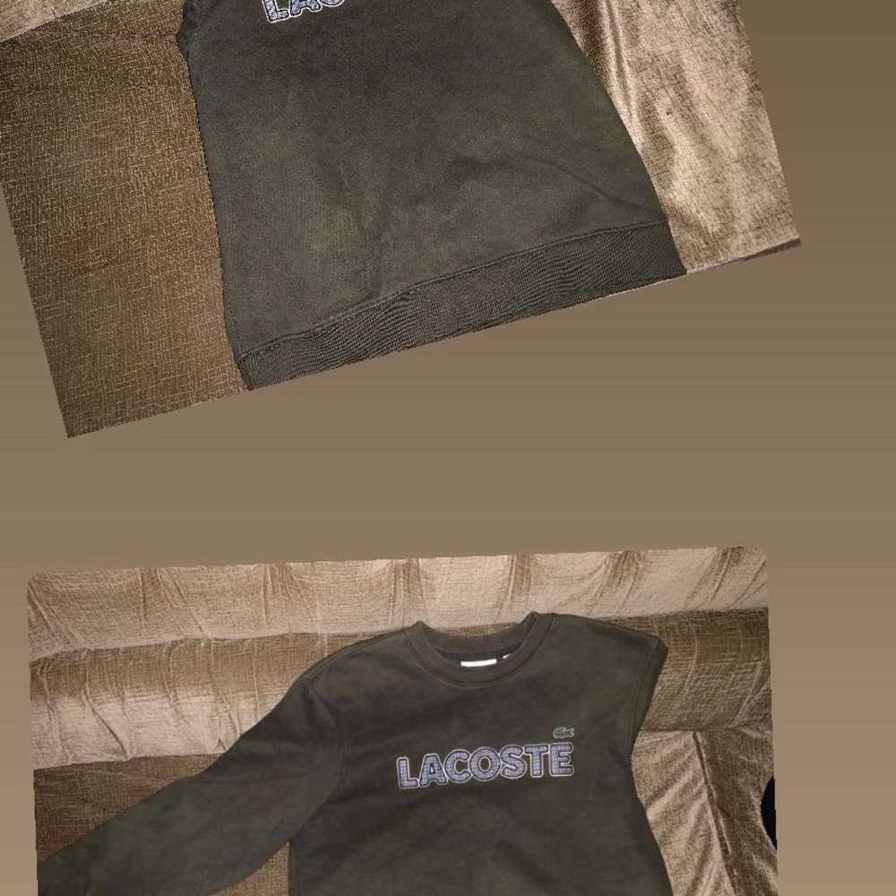 Lacoste Men's Sweater